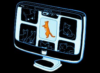 Фотопоток объявлений с питомцами