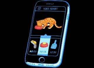 Live streaming of pets in hotel rooms