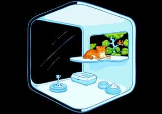 Specially designed rooms for pets with toys and comfort