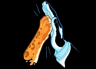 Поддержка экзотических животных — помощь и донаты