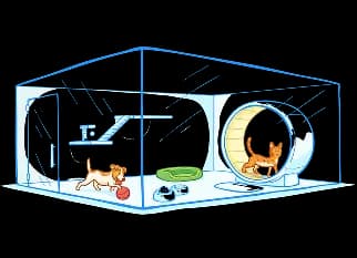 Интерактивная помощь приютам для животных