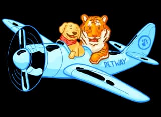 Трансфер питомцев