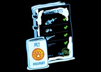 Подготовка документов для трансфера