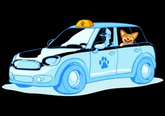 Зоотакси для животных