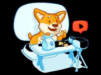 Видеообзоры товаров для питомцев