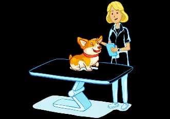 Лучшие ветеринары