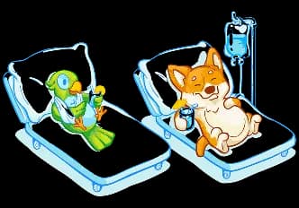 Проверенные ветклиники