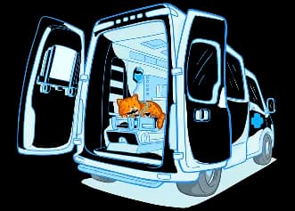 Скорая ветеринарная помощь