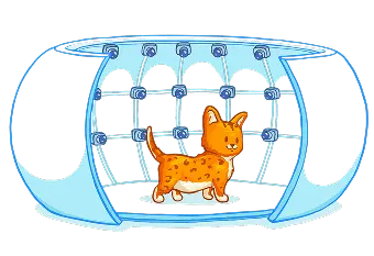 3D photo shoot for pets