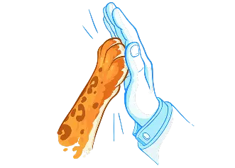 Support for exotic animals — help and donations