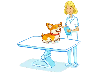 Support for veterinarians and animal specialists