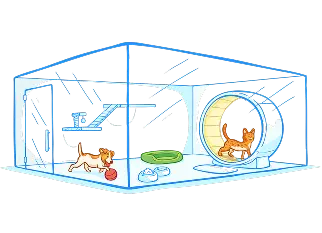 Interactive shelter assistance for animals