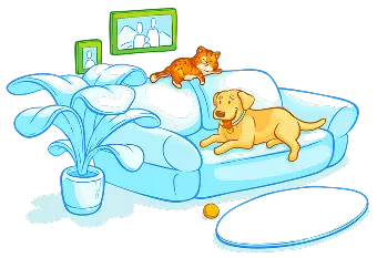 Pet sitting for different types of animals