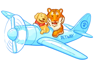 Pet transfer and travel service