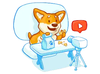 Video reviews of pet products