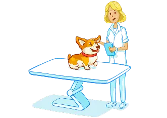 Top veterinarians worldwide