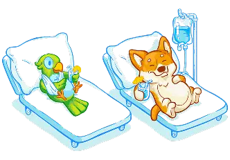 Access to trusted veterinary clinics