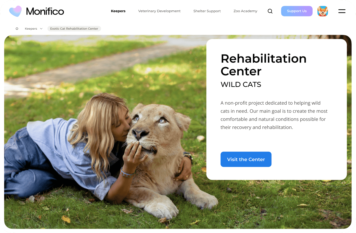 Platform for rehabilitation centres