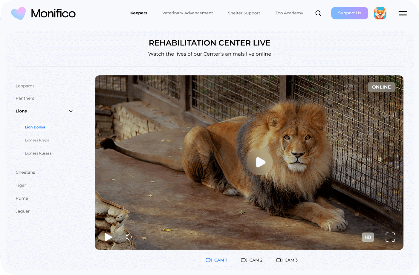 Interactive features