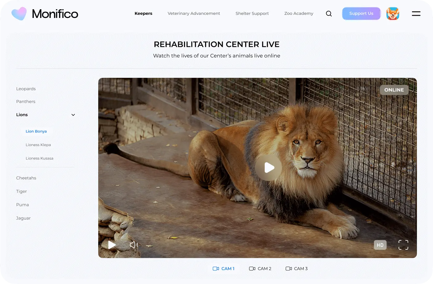 Interactive features