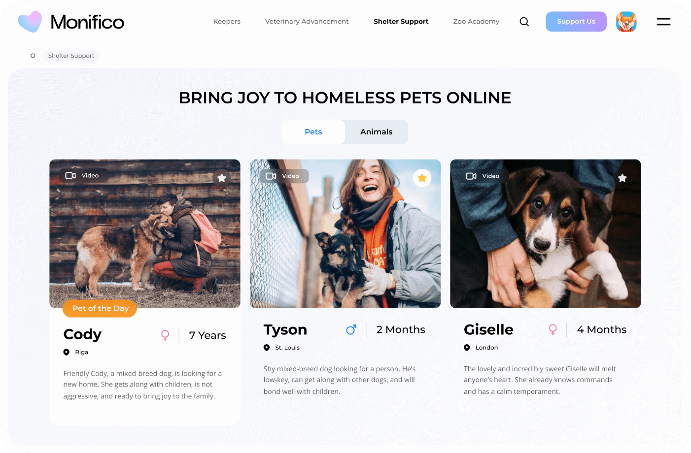 A new perspective on helping shelters