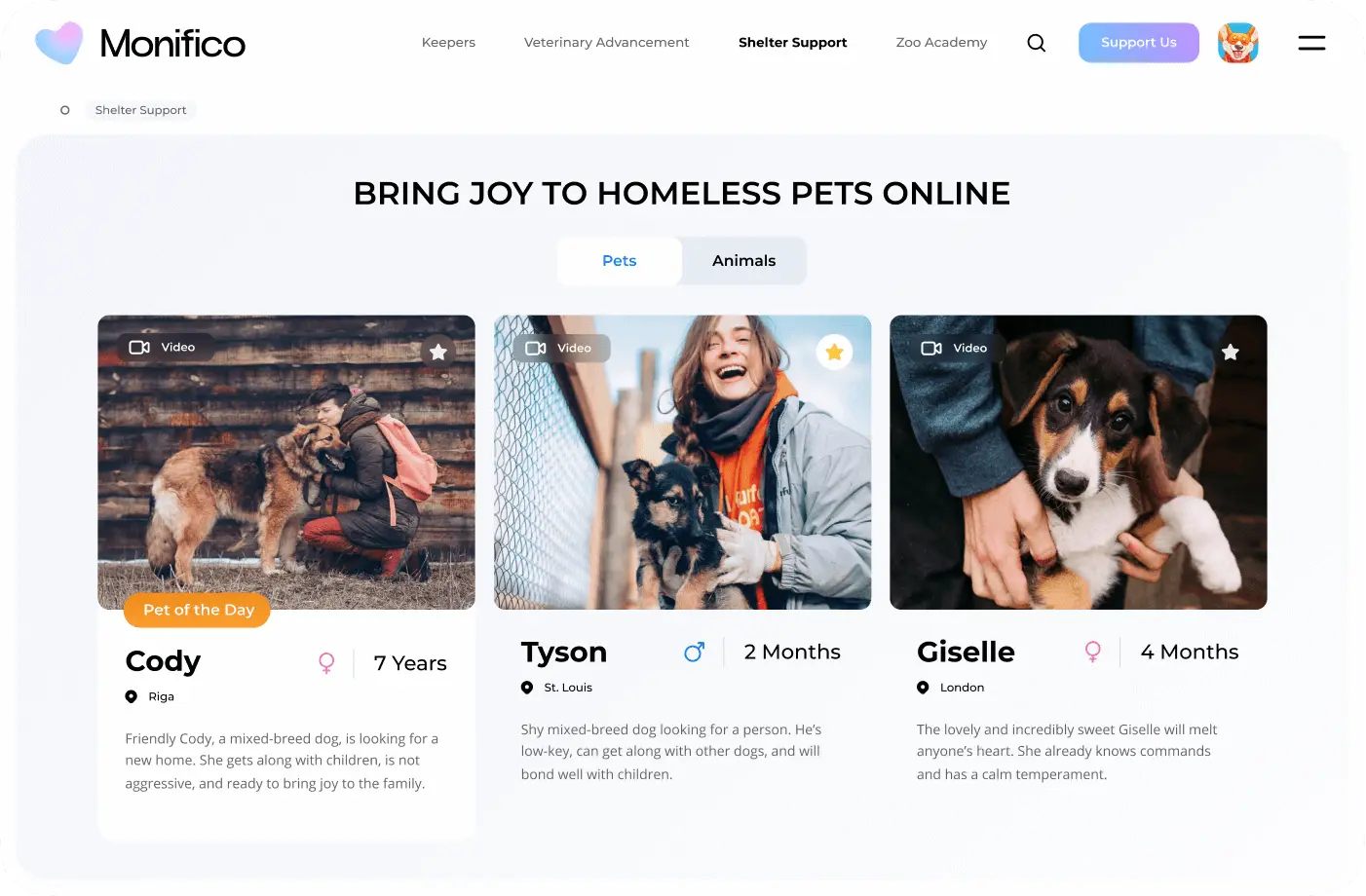 A new perspective on helping shelters