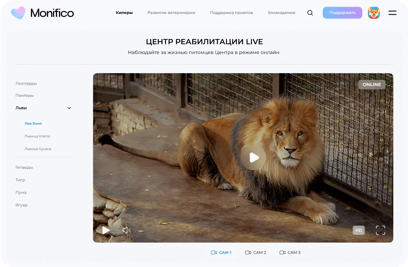 Интерактивные возможности