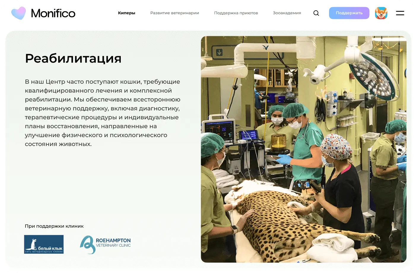 Искусственный интеллект MonAI