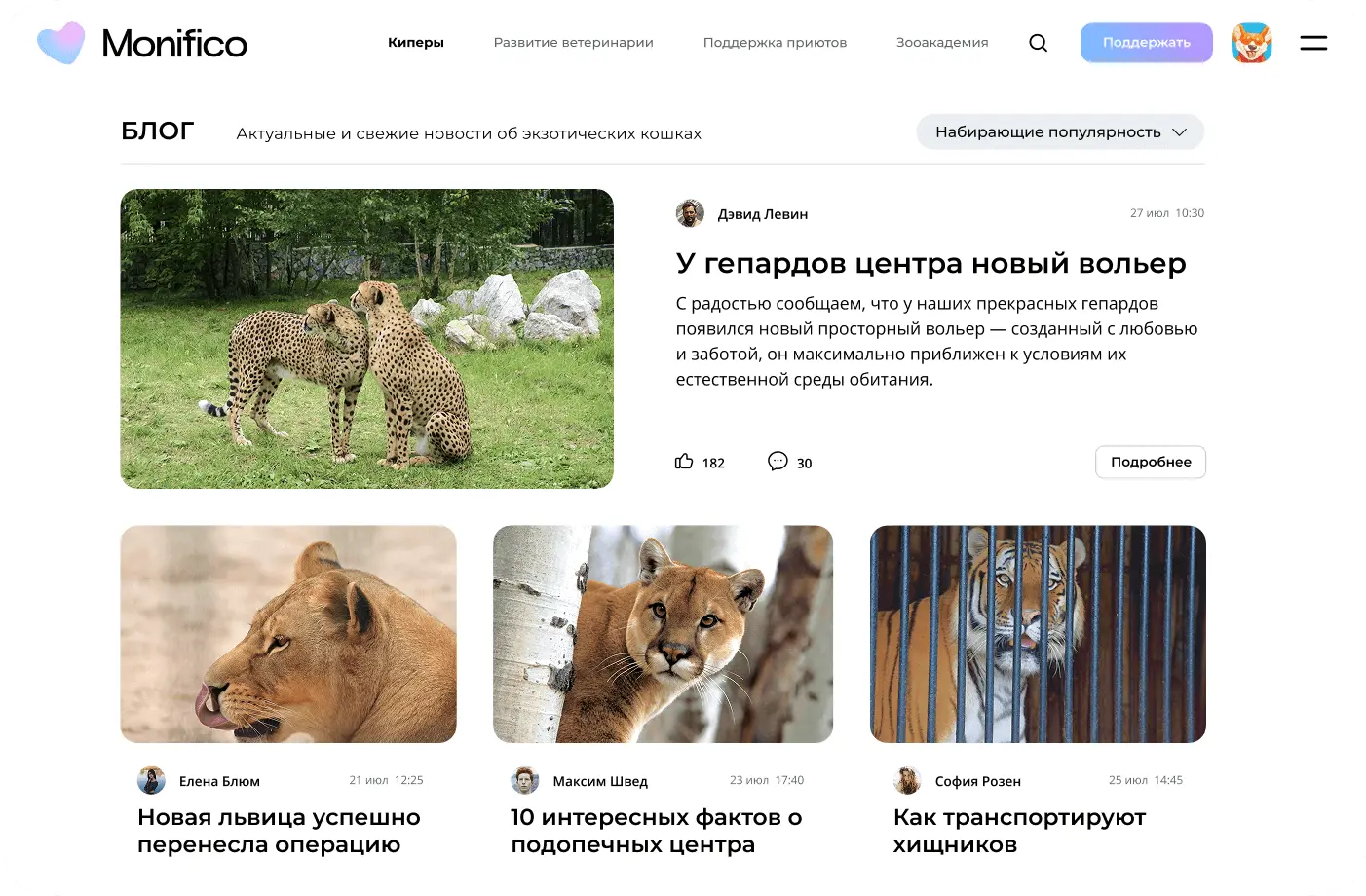 Тематический блог с MonAI