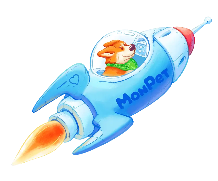 rocket